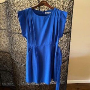 Eliza J Blue Dress